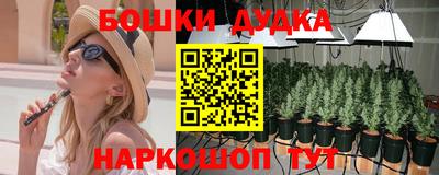 индика Гай